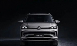 国产l精品,匠心独运，品质卓越