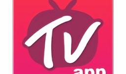 91看直播在哪里,探索热门直播平台的精彩瞬间