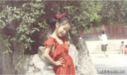 吃瓜娱乐圈贵妃是谁,揭秘娱乐圈神秘新贵